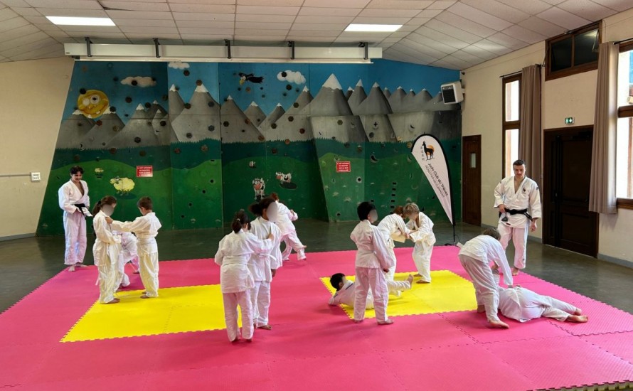 Un cycle d’initiation au judo à l’école de Prélenfrey